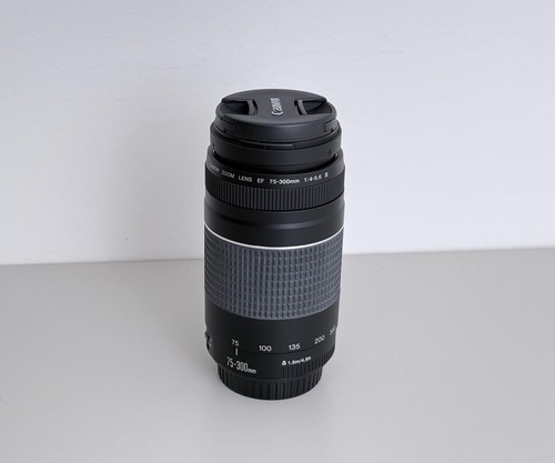Obiettivo canon 300mm - obiettivo, 75-300mm