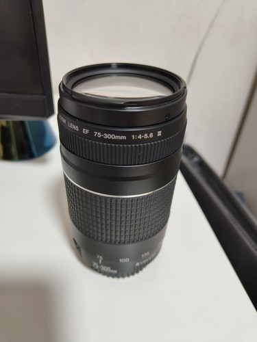 Canon 300mm 5 - ef, iii