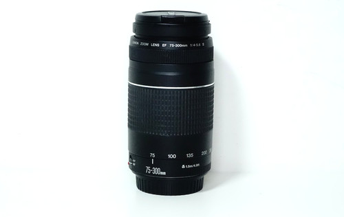 Canon 300mm 5 - canon, ef