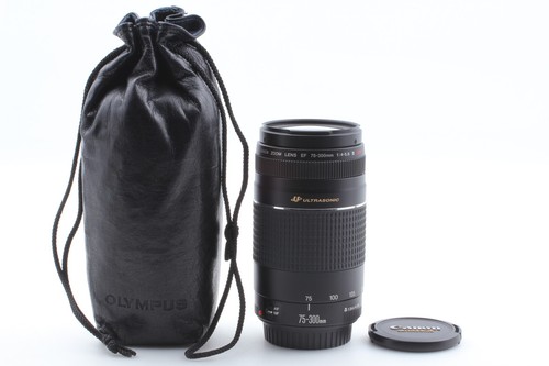 Canon 300mm 5 - canon, iii