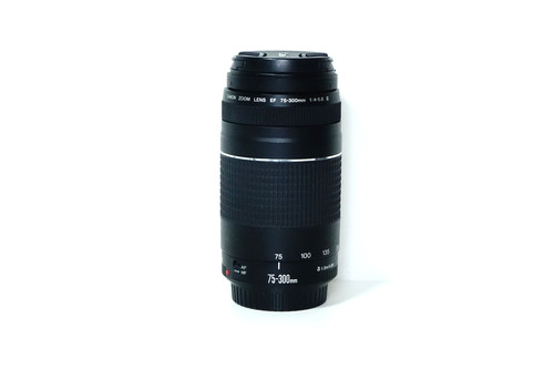 Canon 300mm 5 - ef, f/4-5.6
