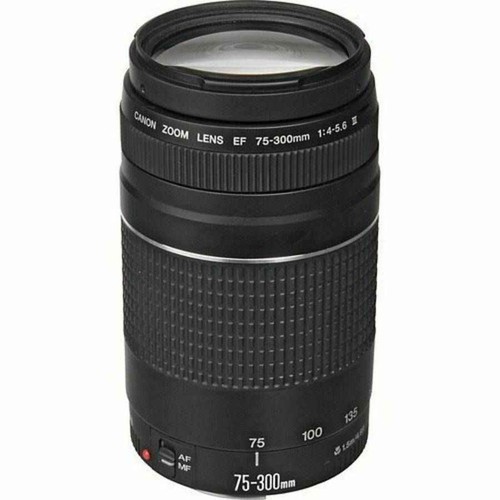 Canon 300mm 5 6 iii - canon,