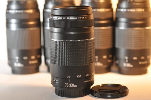 Obiettivo canon 300mm - obiettivo, 75-300mm